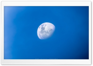 Blue Moon At Afternoon Ultra HD Wallpaper for 4K UHD Widescreen desktop, tablet & smartphone