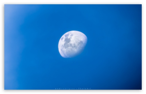 Blue Moon At Afternoon UltraHD Wallpaper for Wide 16:10 5:3 Widescreen WHXGA WQXGA WUXGA WXGA WGA ; 8K UHD TV 16:9 Ultra High Definition 2160p 1440p 1080p 900p 720p ; Standard 4:3 5:4 3:2 Fullscreen UXGA XGA SVGA QSXGA SXGA DVGA HVGA HQVGA ( Apple PowerBook G4 iPhone 4 3G 3GS iPod Touch ) ; Smartphone 16:9 3:2 5:3 2160p 1440p 1080p 900p 720p DVGA HVGA HQVGA ( Apple PowerBook G4 iPhone 4 3G 3GS iPod Touch ) WGA ; Tablet 1:1 ; iPad 1/2/Mini ; Mobile 4:3 5:3 3:2 16:9 5:4 - UXGA XGA SVGA WGA DVGA HVGA HQVGA ( Apple PowerBook G4 iPhone 4 3G 3GS iPod Touch ) 2160p 1440p 1080p 900p 720p QSXGA SXGA ;