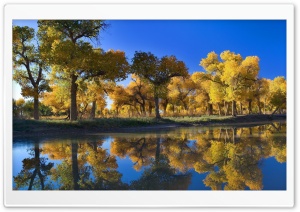 Blue Reflection Ultra HD Wallpaper for 4K UHD Widescreen desktop, tablet & smartphone