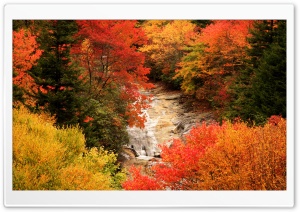 Blue Ridge Parkway, North Carolina, Autumn Ultra HD Wallpaper for 4K UHD Widescreen desktop, tablet & smartphone