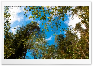 Blue Sky in Autumn Ultra HD Wallpaper for 4K UHD Widescreen desktop, tablet & smartphone