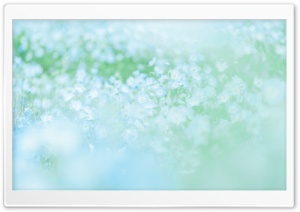 Blue Spring Ultra HD Wallpaper for 4K UHD Widescreen desktop, tablet & smartphone