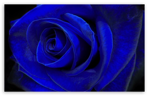 Blue Velvet HD Wallpapers and Backgrounds