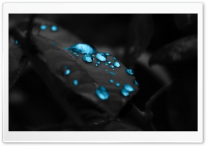 Blue Water Drops Ultra HD Wallpaper for 4K UHD Widescreen desktop, tablet & smartphone