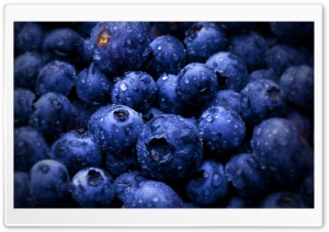 Blueberries Ultra HD Wallpaper for 4K UHD Widescreen desktop, tablet & smartphone