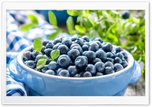 Blueberries Leaves Ultra HD Wallpaper for 4K UHD Widescreen desktop, tablet & smartphone