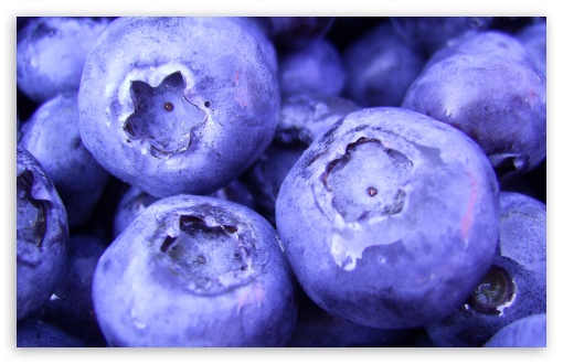 Discover 198+ blueberry wallpaper best