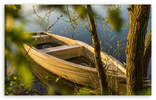 Boat, Lake Shore, Nature UltraHD Wallpaper for Wide 16:10 5:3 Widescreen WHXGA WQXGA WUXGA WXGA WGA ; 8K UHD TV 16:9 Ultra High Definition 2160p 1440p 1080p 900p 720p ; UHD 16:9 2160p 1440p 1080p 900p 720p ; Standard 4:3 5:4 3:2 Fullscreen UXGA XGA SVGA QSXGA SXGA DVGA HVGA HQVGA ( Apple PowerBook G4 iPhone 4 3G 3GS iPod Touch ) ; iPad 1/2/Mini ; Mobile 4:3 5:3 3:2 16:9 5:4 - UXGA XGA SVGA WGA DVGA HVGA HQVGA ( Apple PowerBook G4 iPhone 4 3G 3GS iPod Touch ) 2160p 1440p 1080p 900p 720p QSXGA SXGA ;