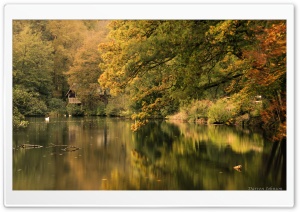 Boathouse at Winkworth Arboretum Ultra HD Wallpaper for 4K UHD Widescreen desktop, tablet & smartphone