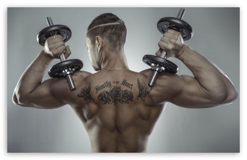 back bodybuilding wallpaper