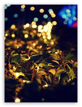 Bokeh, Erbil City UltraHD Wallpaper for Mobile 3:5 3:4 ;