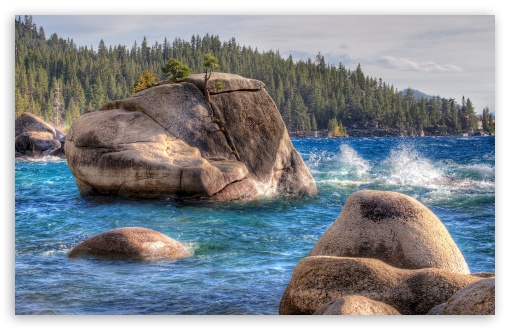 Bonsai Rock UltraHD Wallpaper for UHD 16:9 ; HD 16:9 ; UltraWide 32:9 32:10 ; Widescreen 16:10 5:3 ; Fullscreen 4:3 5:4 3:2 ; Tablet 1:1 ; Mobile 3:5 3:4 ; Dual 16:10 5:3 16:9 5:4 ;