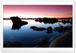 Bonsai Rock Sunset Ultra HD Wallpaper for 4K UHD Widescreen desktop, tablet & smartphone