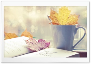 Book And Tea Cup Ultra HD Wallpaper for 4K UHD Widescreen desktop, tablet & smartphone