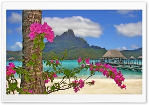 Bora Bora Landscape Ultra HD Wallpaper for 4K UHD Widescreen desktop, tablet & smartphone
