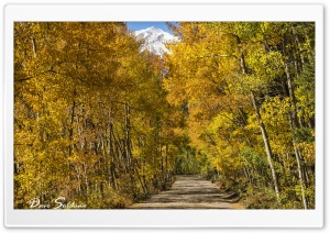 Boreas Pass, Colorado Ultra HD Wallpaper for 4K UHD Widescreen desktop, tablet & smartphone