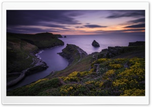 Boscastle Coast View, Sunset Ultra HD Wallpaper for 4K UHD Widescreen desktop, tablet & smartphone
