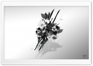 Bouquet Ultra HD Wallpaper for 4K UHD Widescreen desktop, tablet & smartphone