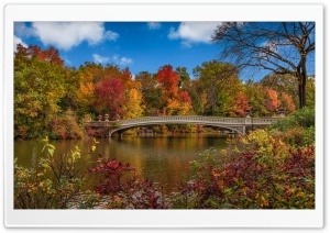 Bow Bridge, Central Park, New York City Ultra HD Wallpaper for 4K UHD Widescreen desktop, tablet & smartphone