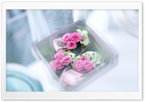 Box With Roses Ultra HD Wallpaper for 4K UHD Widescreen desktop, tablet & smartphone