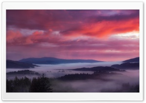 Breaking Dawn Ultra HD Wallpaper for 4K UHD Widescreen desktop, tablet & smartphone