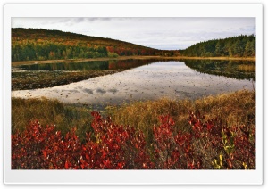 Breakneck Pond, Acadia National Park, Maine Ultra HD Wallpaper for 4K UHD Widescreen desktop, tablet & smartphone