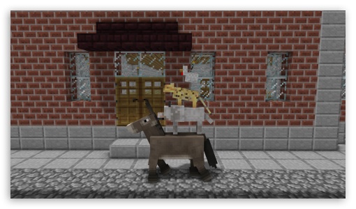 Bremen Town Musicians UltraHD Wallpaper for UHD 16:9 ; HD 16:9 ;