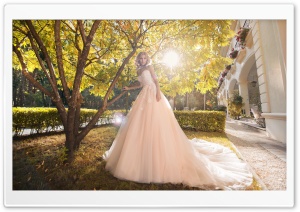 Bride, Wedding, Sunny Autumn Day Ultra HD Wallpaper for 4K UHD Widescreen desktop, tablet & smartphone