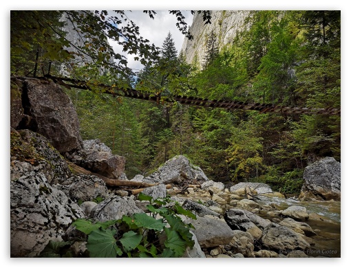 Bridge UltraHD Wallpaper for Fullscreen 4:3 ;