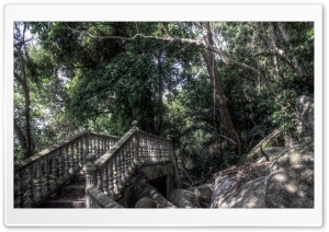 Bridge in a Forest HDR Ultra HD Wallpaper for 4K UHD Widescreen desktop, tablet & smartphone