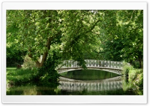 Bridge, Morden Hall, England, London, Park, Green, Spring, Reflection, Romantic, River 4K UHD Wallpaper for Widescreen and UltraWide Desktop, UltraHD TV, Smartphone, Tablet