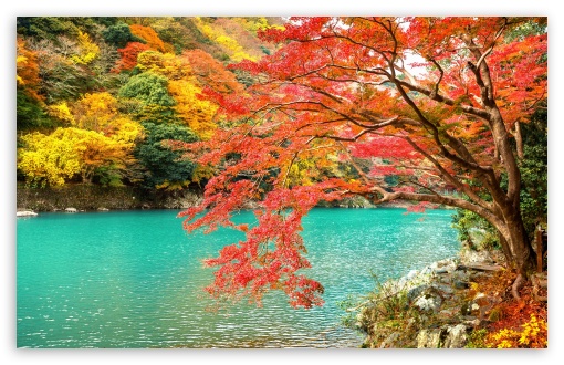 Bright Fall Colors, Lake, Nature UltraHD Wallpaper for UHD 16:9 2160p 1440p 1080p 900p 720p ; 8K UHD TV 16:9 Ultra High Definition 2160p 1440p 1080p 900p 720p ; UltraWide 21:9 24:10 ; Widescreen 16:10 5:3 WHXGA WQXGA WUXGA WXGA WGA ; Fullscreen 4:3 5:4 3:2 UXGA XGA SVGA QSXGA SXGA DVGA HVGA HQVGA ( Apple PowerBook G4 iPhone 4 3G 3GS iPod Touch ) ; Tablet 1:1 ; Mobile 9:16 9:19.5 9:20 9:21 9:22 10:16 2:3 3:5 3:4 - ;