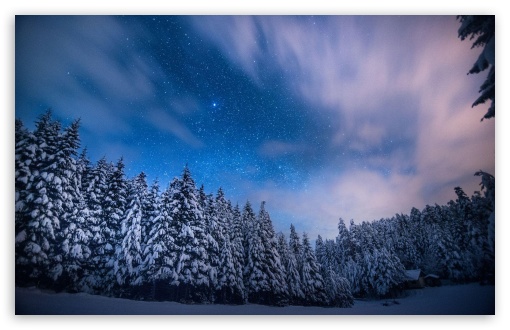 Bright Stars Above The Frosty Trees UltraHD Wallpaper for HD 16:9 ; Widescreen 16:10 5:3 ;