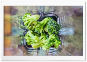 Broccoli Ultra HD Wallpaper for 4K UHD Widescreen desktop, tablet & smartphone