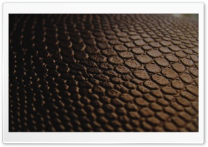 Brown Leather Ultra HD Wallpaper for 4K UHD Widescreen desktop, tablet & smartphone