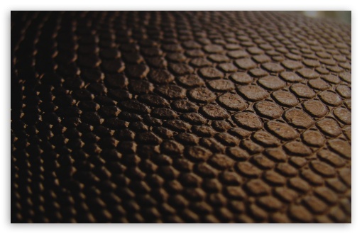 Leather texture 1080P, 2K, 4K, 5K HD wallpapers free download | Wallpaper  Flare