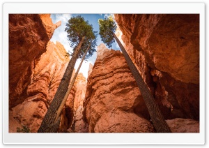 Bryce Canyon, Utah Ultra HD Wallpaper for 4K UHD Widescreen desktop, tablet & smartphone