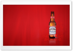 Budweiser Ultra HD Wallpaper for 4K UHD Widescreen desktop, tablet & smartphone