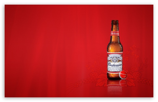 Download Vibrant Sweating Budweiser Bottle Wallpaper | Wallpapers.com