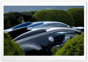 Bugatti Veyron Ultra HD Wallpaper for 4K UHD Widescreen desktop, tablet & smartphone