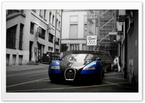 Bugatti Veyron City Ultra HD Wallpaper for 4K UHD Widescreen desktop, tablet & smartphone