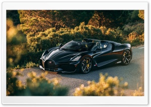 Bugatti W16 Mistral Sports Car 4K UHD Wallpaper for Widescreen and UltraWide Desktop, UltraHD TV, Smartphone, Tablet