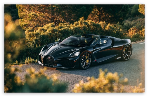 Bugatti W16 Mistral Sports Car UltraHD Wallpaper for UHD 16:9 ; HD 16:9 ; UltraWide 21:9 24:10 32:9 32:10 ; Widescreen 16:10 5:3 ; Fullscreen 4:3 5:4 3:2 ; Dual 16:10 5:3 16:9 4:3 5:4 3:2 ;