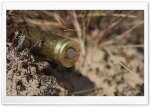 Bullet 4K UHD Wallpaper for Widescreen and UltraWide Desktop, UltraHD TV, Smartphone, Tablet