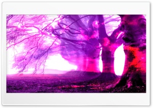 Burned Pink Ultra HD Wallpaper for 4K UHD Widescreen desktop, tablet & smartphone