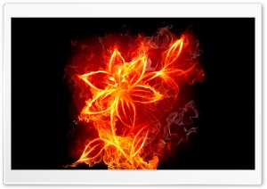 burning flower 4K UHD Wallpaper for Widescreen and UltraWide Desktop, UltraHD TV, Smartphone, Tablet