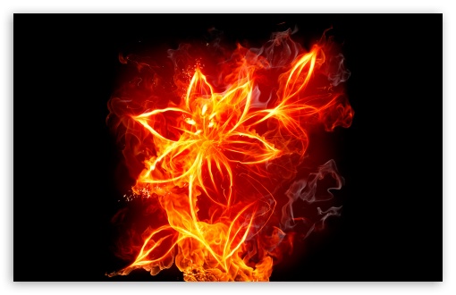 burning flower UltraHD Wallpaper for Widescreen 16:10 ;