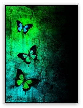 Butterfly Darkness UltraHD Wallpaper for Mobile 4:3 - UXGA XGA SVGA ;