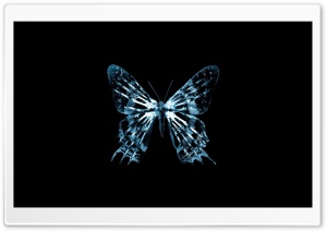 Butterfly X Ray Ultra HD Wallpaper for 4K UHD Widescreen desktop, tablet & smartphone