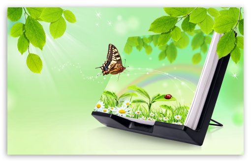 Butterly UltraHD Wallpaper for Widescreen 16:10 ;